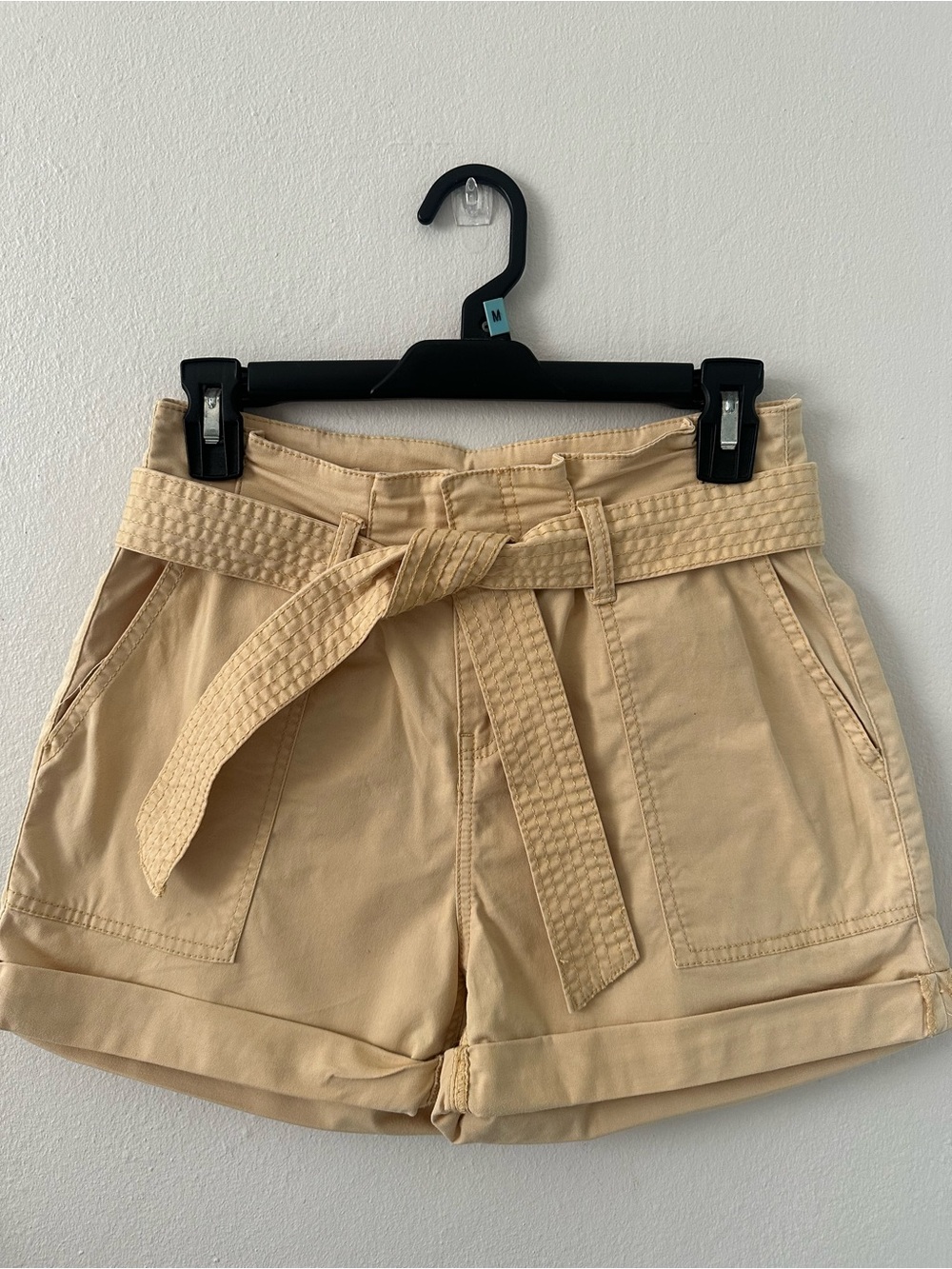 Vanilla Star Neutral High-Waist Belted Shorts
